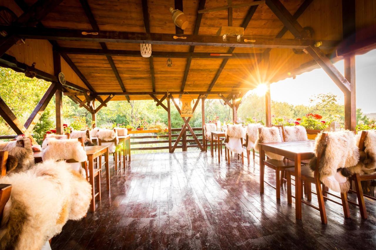 Pensiunea La Maria Lu' Sandoiu Hotel Poenari Buitenkant foto